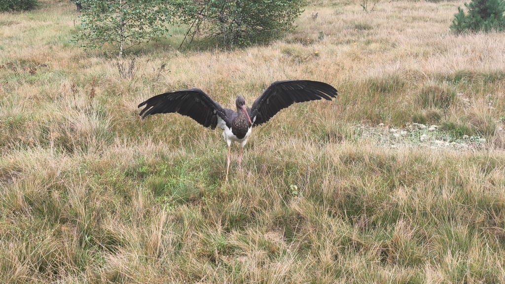 2662c59c-ac41-4052-82c7-357ffc9552b7.jpg 2662c59c-ac41-4052-82c7-357ffc9552b7.jpg