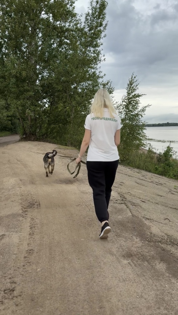 d7dc9a5d-417f-426e-9b2b-090fa02c5d27.png d7dc9a5d-417f-426e-9b2b-090fa02c5d27.png