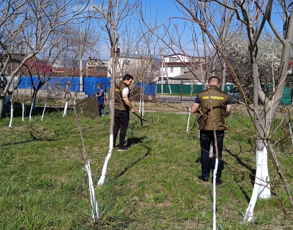 Субботник.jpg