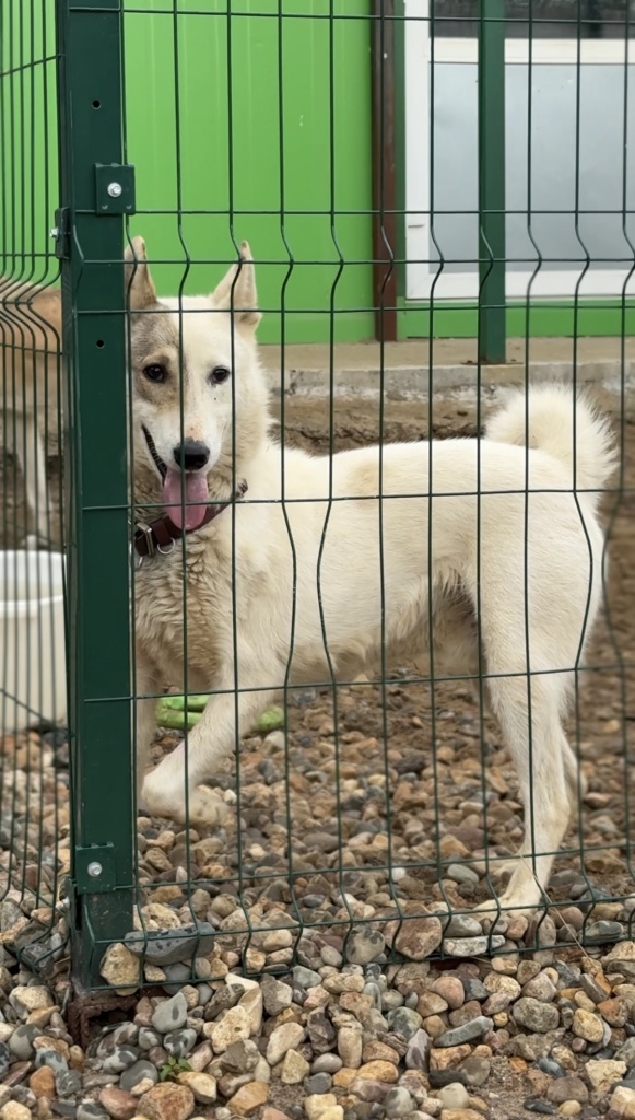 51b08f0f-64dd-445b-a60b-9f0f2a22b546.png 51b08f0f-64dd-445b-a60b-9f0f2a22b546.png