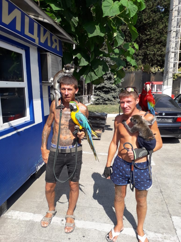 Фотографы.jpg Фотографы.jpg