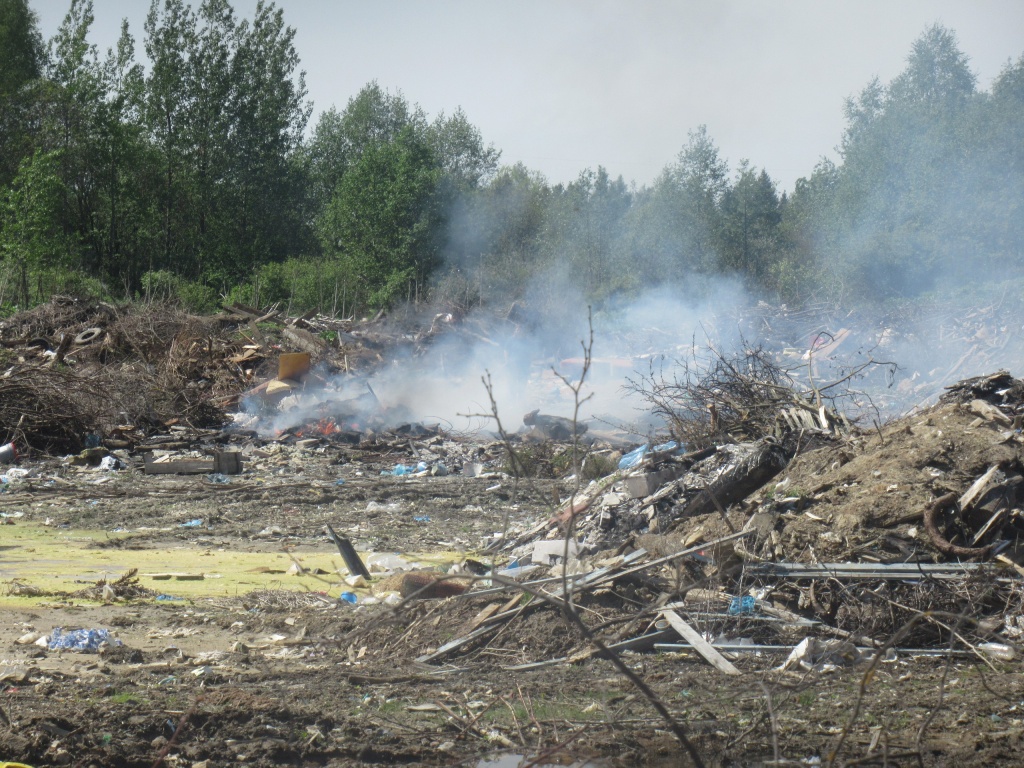 c2e770b5-41d5-4530-80c8-4b18da80425f.jpg c2e770b5-41d5-4530-80c8-4b18da80425f.jpg