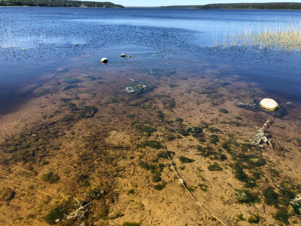 Вода.jpg