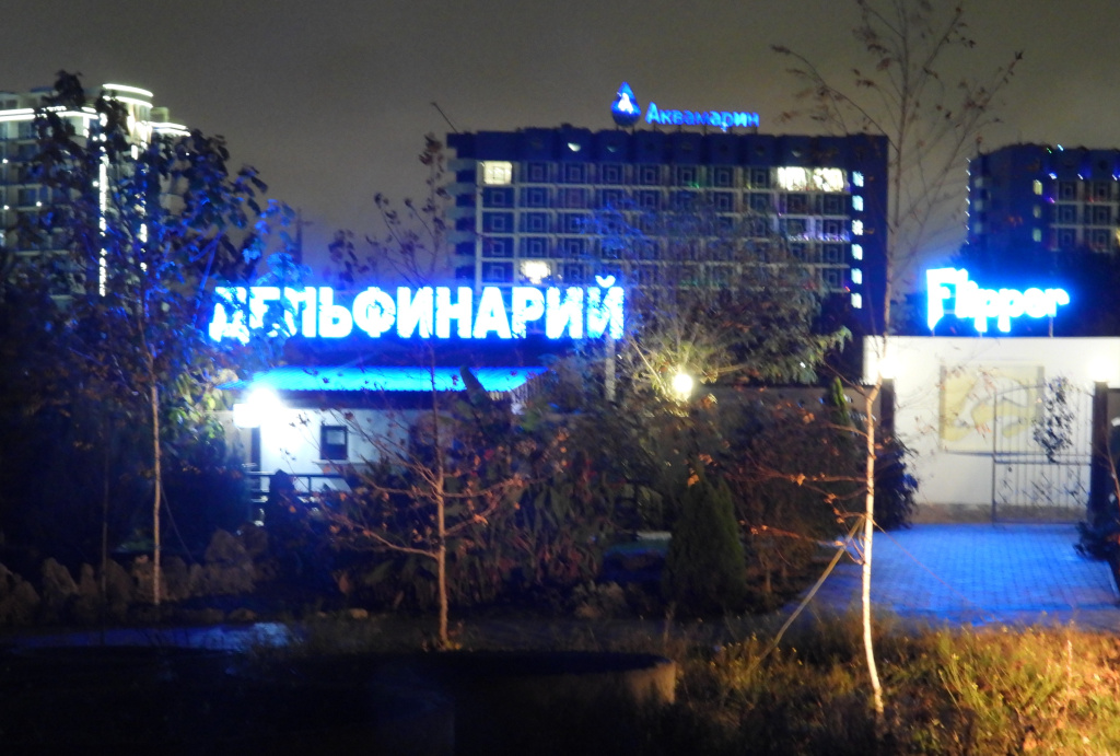 Дельфины-3.jpg