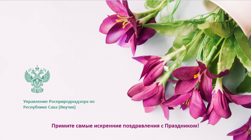 Андреев финал.png Андреев финал.png