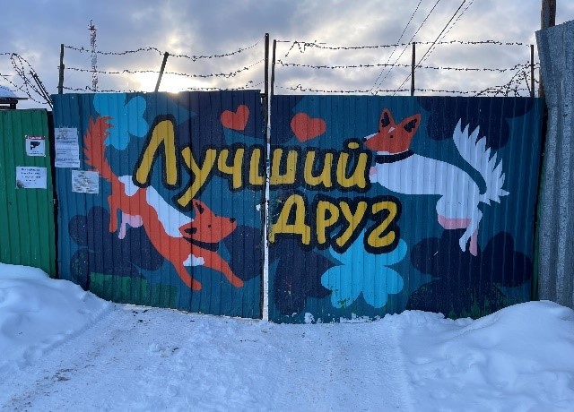 Приют-3.jpg