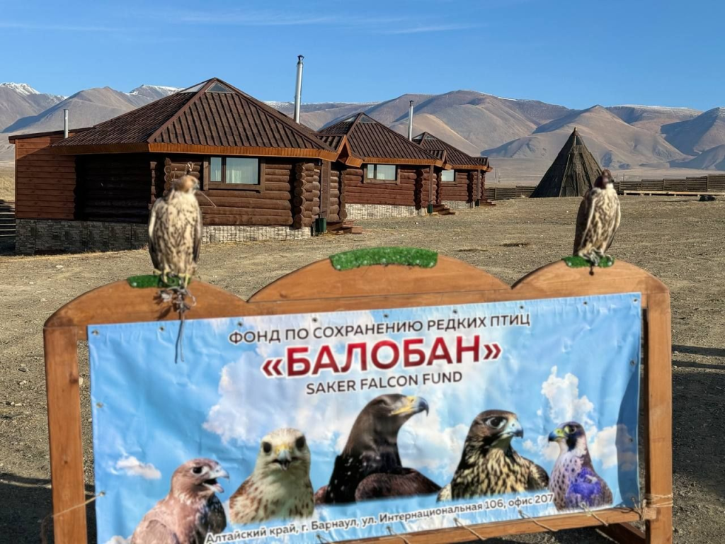 Соколо фото-3.png
