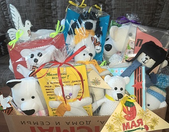 Жители Пермского края приняли активное участие во Всероссийской акции Росприроднадзора «Игрушка ветерану»