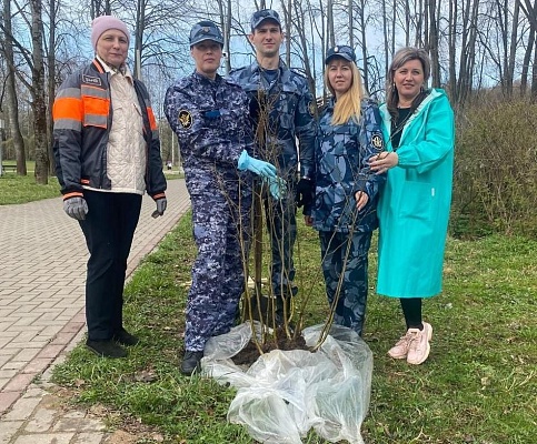Сотрудники СЗМУ Росприроднадзора приняли участие в акции «Сад памяти» в г. Великие Луки