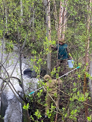 Росприроднадзор выявил повторные нарушения на Качканарском предприятии «Горэнерго»