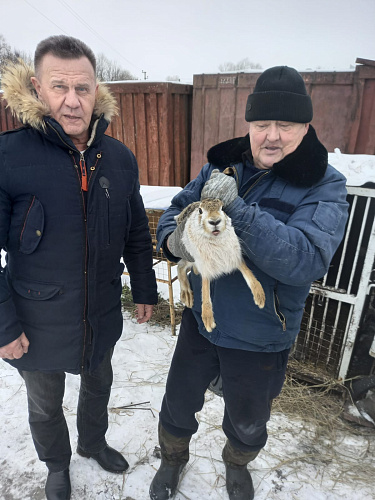 Росприроднадзор передал в Воронежский зоопарк изъятых по решению суда из частного зоопарка зайца-русака и лебедя
