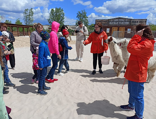 Росприроднадзор организовал для воронежских школьников с ограниченными возможностями здоровья поездку в парк альпака