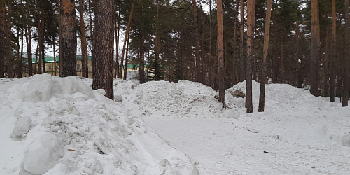 Росприроднадзор информирует о фиксации несанкционированных снегоотвалов в Новосибирской области
