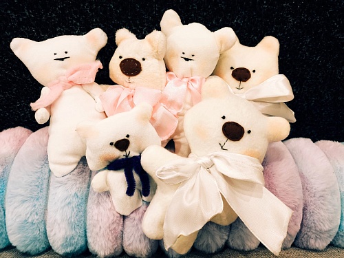 Балтийско-Арктическое межрегиональное управление Росприроднадзора продолжает принимать игрушки в рамках доброй акции «Игрушка ветерану».