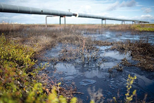 ПАО НК «Русснефть» допустило загрязнение почв нефтепродуктами