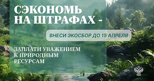Стартовала отчетная кампания в рамках расширенной ответственности производителей