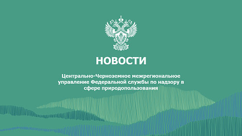 Росприроднадзором опубликованы данные о выбросах загрязняющих веществ за 2024 год