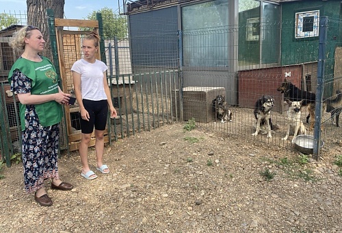 В Ангарске сотрудники Росприроднадзора посетили приют для бездомных животных