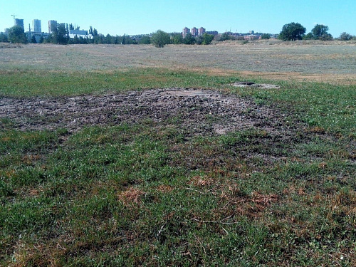 Росприроднадзор выявил факт причинения ущерба почве на территории Советского района города Волгограда