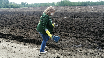 Птицефабрика в Новгородской области возместила 7,4 млн рублей за ущерб, причиненный почвам