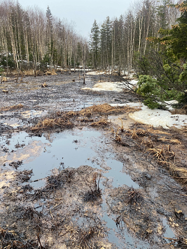 ООО «ННК-Сахалинморнефтегаз» причинило вред почве в размере 10 млн 509 тыс. 487 рублей