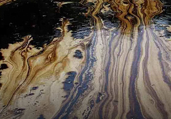 Деятельность ООО «Комплекс вспомогательных производств» в Саратовской области нанесла ущерб почвам на 411,8 млн рублей