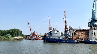 Росприроднадзор получил первые результаты исследования экологического состояния Дона