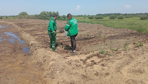 Суд рассматривает иск Южно-Сибирского межрегионального управления Росприроднадзора на 75 миллионов рублей о возмещении вреда почве.