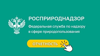 Уплата экологического сбора за 2025 год