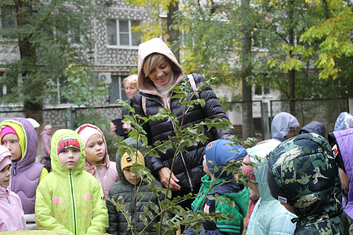 Более 100 саженцев высадили на Ставрополье в рамках экологической акции «Сохраним лес»