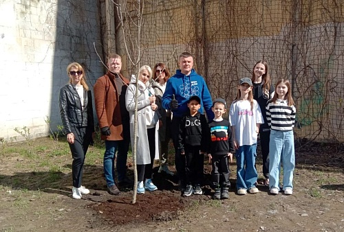 Сотрудники ЦЛАТИ по СЗФО провели посадку деревьев в рамках международной акции «Сад памяти»