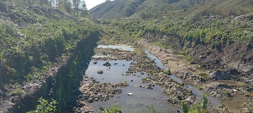 Росприроднадзор выявил нарушения при добыче россыпного золота в  Алтайском крае.