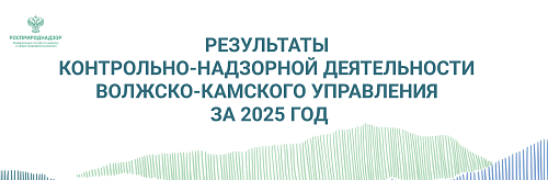 175 ущербов на 5,3 млрд. рублей было предъявлено в 2025 году по фактам причинения вреда окружающей среде