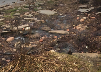 Росприроднадзор добивается возмещения ущерба за загрязнение почв на берегу Финского залива