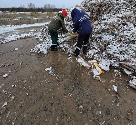 Северное управление Росприроднадзора проводит плановую проверку производственной территории ООО «Нортолайн» в Архангельской области  