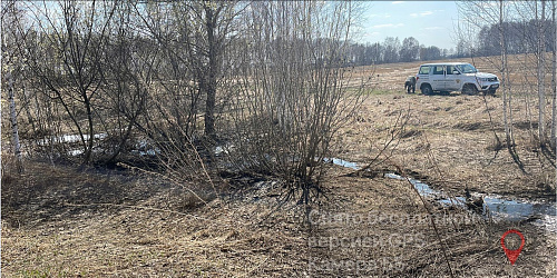 В Новосибирской области инспекторы Росприроднадзора выявили факт сброса на почву и в р. Амба отходов животноводства