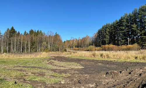 В Ленинградской области суд обязал сельхозкооператив «Поляны» выплатить более 35 млн рублей за нанесенный вред почвам