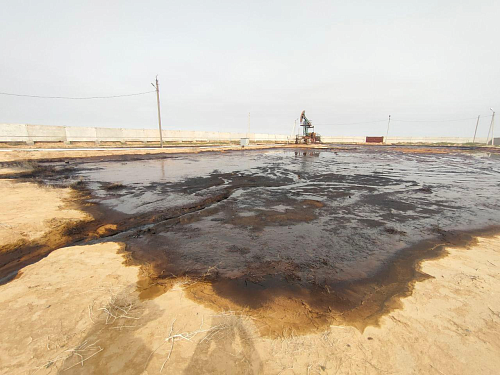 На территории Республики Калмыкия инспекторы Росприроднадзора приняли меры по факту загрязнения почвы