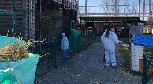 Росприроднадзор оказал помощь приюту диких животных «Спаси меня» 