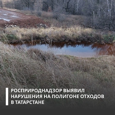 На полигоне ТБО и промышленных отходов зафиксировано загрязнение почвы. Предприятию предъявлено требование о возмещении вреда