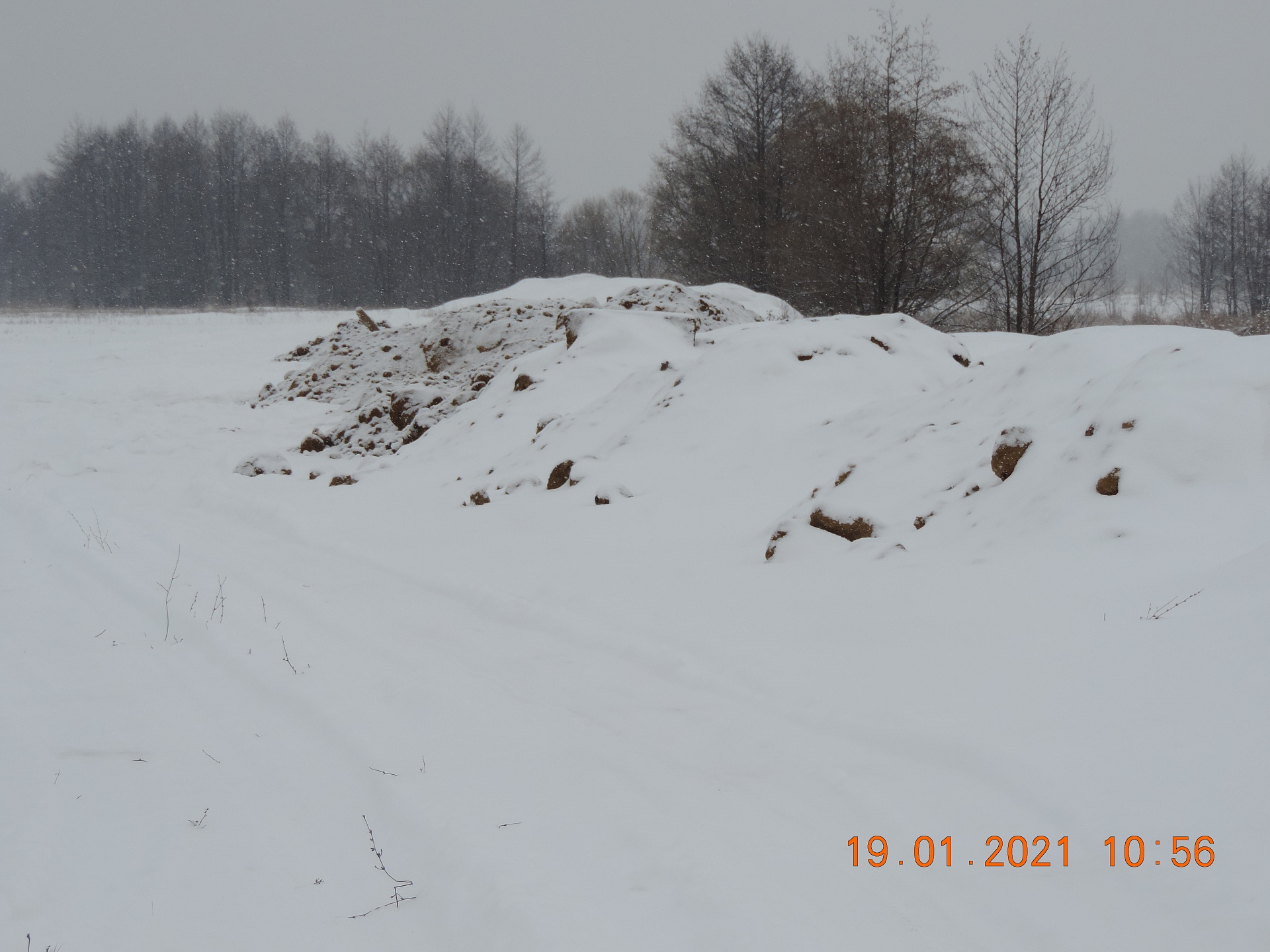 Росприроднадзор устанавливает виновных лиц допустивших размещение отвалов размываемого грунта