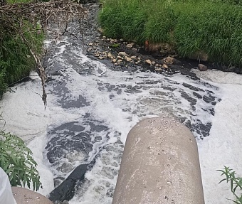 Исправительная колония в Курганской области обязана возместить экологический ущерб