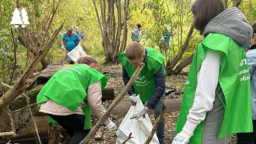 Специалисты ЦЛАТИ по Архангельской области приняли участие во Всероссийской акции «Вода России. Водным объектам – чистые берега и причалы»