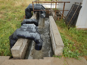 Росприроднадзор добивается возмещения вреда реке Дон в Липецкой области