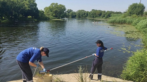 В Липецкой области Центрально-Черноземное управление Росприроднадзора требует с МУП «Чаплыгинский водоканал» возмещения вреда, причиненного реке Становая Ряса за сброс сточных вод
