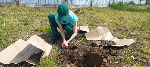 В Чувашии возмещен вред почве по решению суда