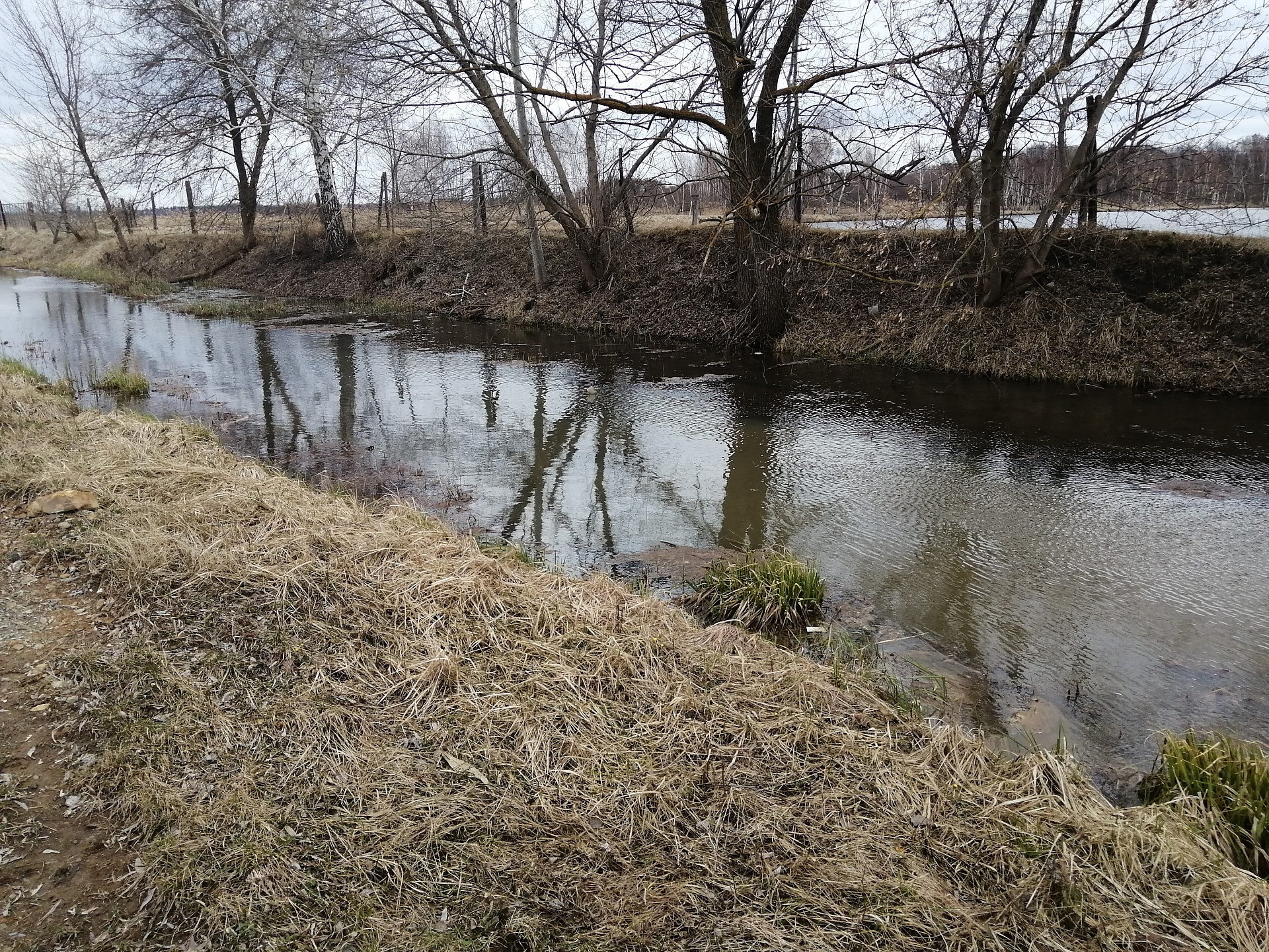 Арбитражный суд Тамбовской области поддержал позицию Росприроднадзора о взыскании с Тамбовского порохового завода более 2,5 млн руб. за вред, причиненный р.Цна