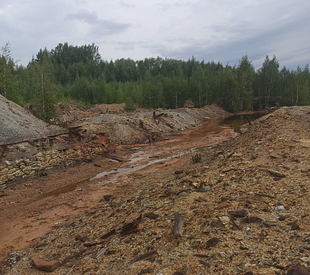 Инспекторы Росприроднадзора провели выездное обследование Белореченского рудника в г. Верхний Тагил в рамках проекта «Генеральная уборка»