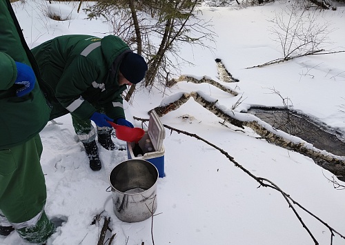 Управление Росприроднадзора держит на контроле ситуацию по факту гибели рыб в Ширинском районе Республики Хакасия