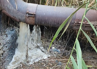 Суд обязал жителя Астрахани возместить экологический ущерб